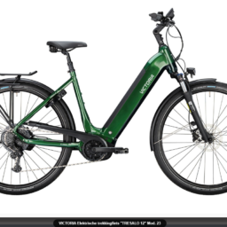 VICTORIA E-Bike TRESALO 12 Wave Emerald green Mod. 2023