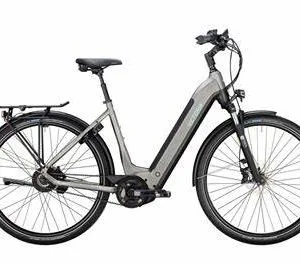 VICTORIA E-Bike TRESALO 17 Wave Grijs